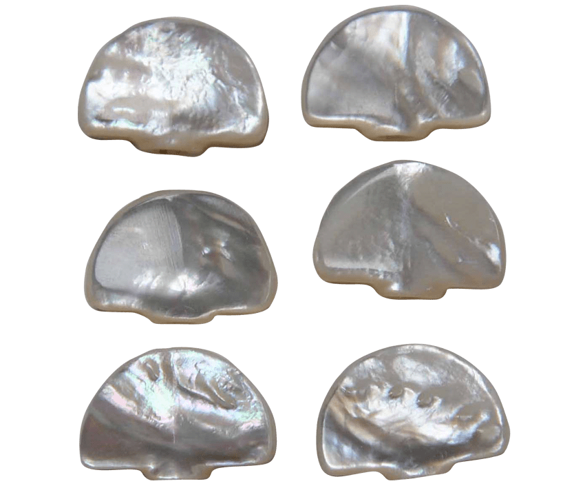 Australian Mother of Pearl Co. Pty Ltd
